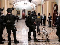 2021-03-31T115351Z_1011666617_RC2BMM9Y5T71_RTRMADP_3_USA-CAPITOL-RIOTS-LAWSUIT_aywvcd