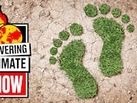 190913-carbon-footprint-tease2_nyobma