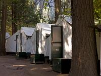 articles/2012/09/03/yosemite-hanta-virus-nature-strikes-back/yosemite-virus-sepkowitz_qiojvb