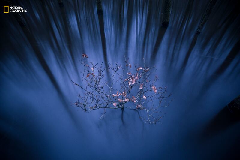 galleries/2016/12/13/national-geographic-nature-photographer-of-the-year-winners/161212-NGNP-06-embed-jacob-kaptein-ngnp-landscape1_lblg2v