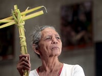 articles/2016/03/20/is-palm-sunday-a-rainforest-killer/160319-wexler-palms-tease_urennd