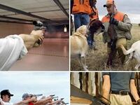 articles/2010/06/28/states-with-the-most-guns/most-armed-states_110324_xjz72o