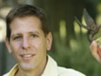 articles/2010/04/06/5-recipes-from-a-top-chef-master/jerry-traunfeld-recipe_92701_zgterq