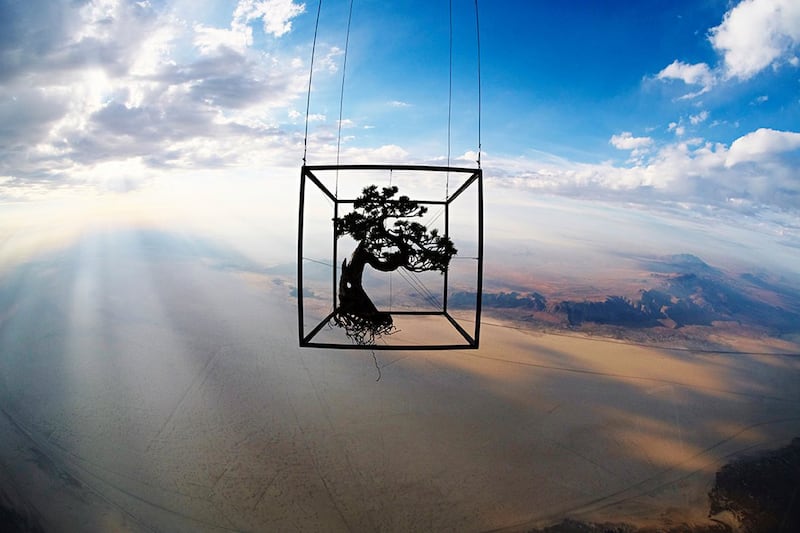 articles/2014/07/23/a-bonsai-tree-goes-to-space-for-art/140723-bonsai-space-embed1_linbmd