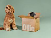 Ollie