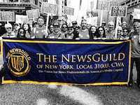 200518-stein-newsguild-tease_tp33db