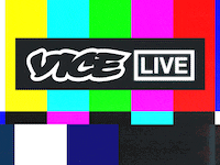 190314-tani-vice-live-walkout-hero-2_sh8j4v
