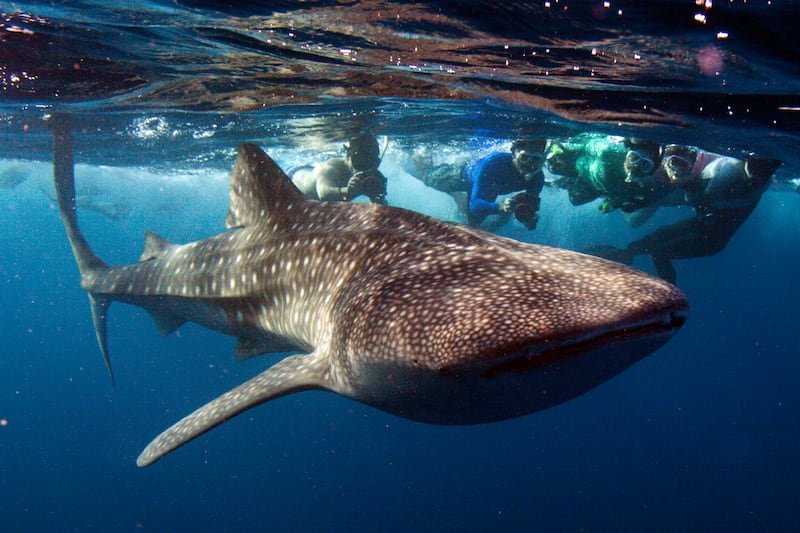 articles/2013/12/24/it-s-a-big-big-world-sights-that-make-you-feel-small/131223-big-world-maldives_kg3tlw
