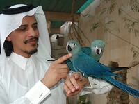articles/2013/11/12/the-mysterious-death-of-the-art-world-s-favorite-sheikh/141112-crocker-sheikh-tease_vx6tpw