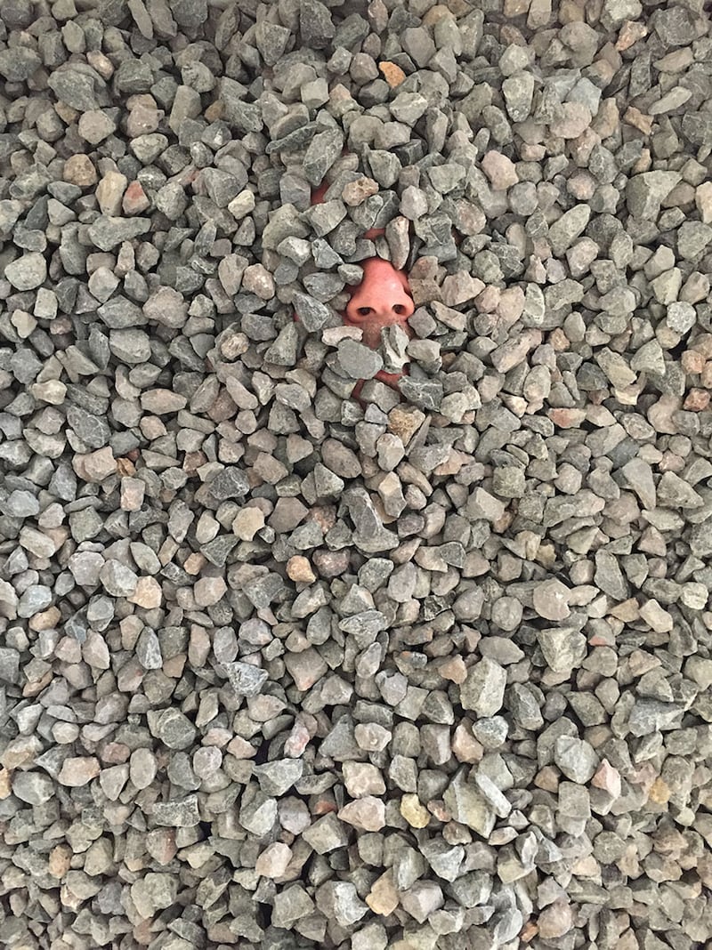 articles/2015/07/17/meet-the-australian-artist-who-buried-himself-alive/150717-visontay-buried-artist-embed2_he0ug4