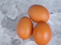 articles/2015/11/22/everything-you-need-to-know-before-you-freeze-your-eggs/151121-lytton-eggs-ice-tease_momi6n