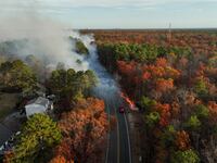NEW JERSEY, US - NOV 5, 2024: Several homes were evacuated as a wildfire spread through the Colliers Mills Wildfire Management Area in Ocean County, New Jersey. The blaze, which threatens 25 structures, prompted an emergency response to safeguard nearby communities as firefighters worked to contain the flames amid dry, windy conditions. (Photo by Lokman Vural Elibol/Anadolu via Getty Images)