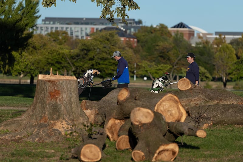 Golfers walk by piles of logs and debris on the course at East Potomac Golf Links on October 18, 2026 in Washington, DC. The National Park Service confirmed in a filing they had marked over 500 trees for removal as the Trump Administration mulls over a renovation for the golf course.