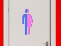 articles/2013/10/03/the-man-behind-nom-s-new-war-on-transgender-students/130929-transgender-bathroom-tease_ftnbpa