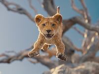 Mufasa: The Lion King.
