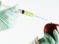 articles/2013/03/10/nine-things-you-should-know-about-genetically-modified-organisms/130309-leon-gmo-whole-foods-tease-embed_jirlqc