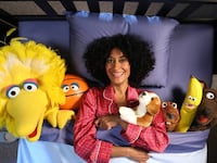 articles/2016/01/15/sesame-street-gets-gentrified-but-keeps-its-charm/160114-fallon-sesame-street-tease_kjlmmh
