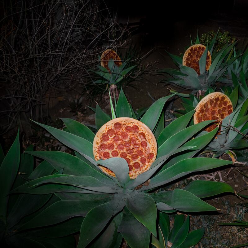 galleries/2014/03/15/pizza-in-the-wild-jonpaul-douglass-photographs-our-favorite-food-in-nature/140312-pizza_plants_rgjkds