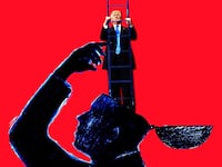 This Is Your Brain on Trump