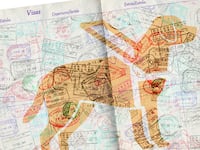 180721-kuusisto-traveling-guide-dog-hero_vpxefa