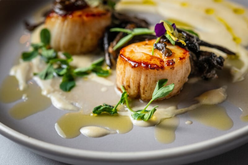 scallops served up at Bistro Cacao