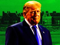 Donald Trump, Doonberg photo illustration