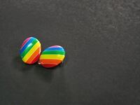 Rainbow colored earrings.