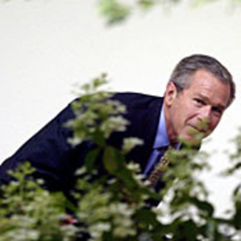 articles/2009/05/23/bush-is-fun-again/schaffer-george-bush_28146_jnvpec