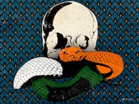 210924-india-snake-deaths-hero_vkbj5z