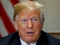rump_xn5ajb