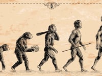 articles/2014/06/01/the-crazy-way-creationists-try-to-explain-human-tails-without-evolution/140530-giberson-evolution-tease_yrysj9