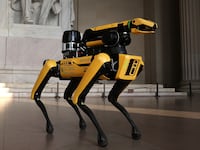 boston dynamics robot