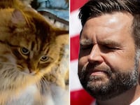 Split photos of the cat Miss Sassy and JD Vance