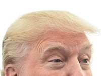 articles/2015/07/12/the-hunt-for-donald-trump-s-hairdresser-and-how-to-make-it-better/150710-teeman-trump-hair-tease_apw3py