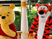 A photo of Winnie the Pooh