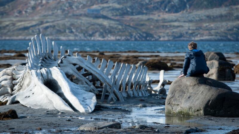 articles/2014/05/27/inside-leviathan-russian-filmmaker-andrey-zvyagintsev-s-award-winning-anti-putin-cannes-film/140525-stern-leviathan-embed_ui2pli
