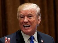 trumptrump_bif327