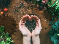 Hands holding dirt from garden