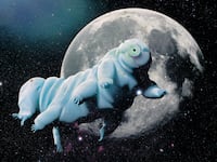 An illustration that includes images of a Tardigrades in Space surrounded by Stars, Light, and The Moon.