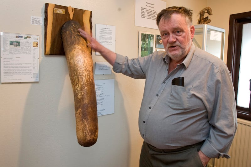 articles/2014/04/17/iceland-s-penis-museum-curator-on-what-the-final-member-gets-wrong/140416-leon-museum-tease_yngx1q