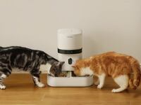 Petlibro Granary Pet Feeder