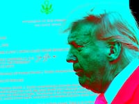 Donald Trump photo illustration