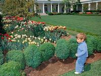 Jack Schlossberg shared this photo of his father, John F. Kennedy Jr., as a toddler in the White House Rose Garden in 1963.