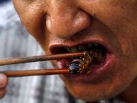 articles/2015/07/11/bug-out-to-save-the-planet/150710-fitness-eating-bugs-tease_bfiqa8