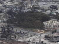 The 150 year old banyan tree is seen in Lahaina after wildfires driven by high winds burned across most of the town