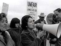 articles/2012/05/18/hero-grandmother-delores-huerta-honored-with-medal-of-freedom/dolores-huerta-mcelwaine-new-new_bhixur