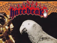 articles/2014/03/13/full-metal-parrot/140312-teeman-hatebeak-tease_n5yqcf