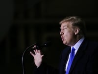 trump_sedepg