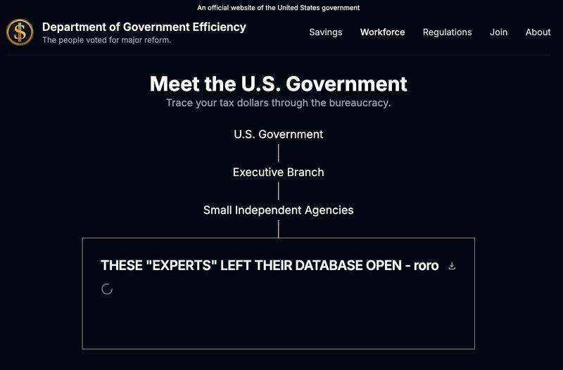 Screegrab from the DOGE website.