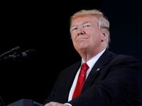 181104-trump-gillum-migrants-lawns-cheat_w7gh9i